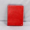 PETEK,   iPad, 661-041-10